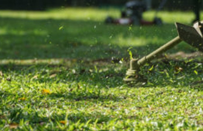 come sistemare il giardino in primavera