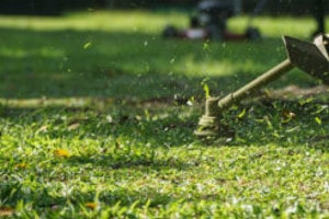 come sistemare il giardino in primavera