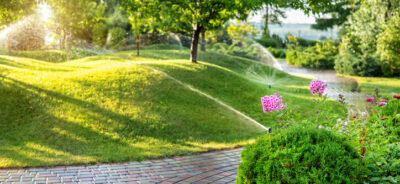 manutenzione giardino: ecco cosa sapere